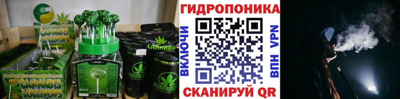 Cannafood конопля  Сунжа 