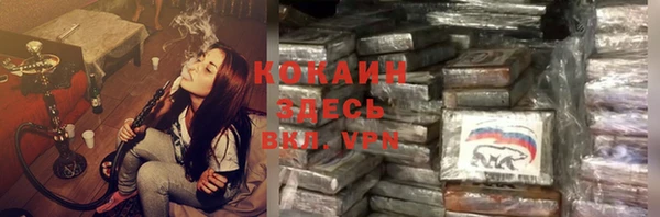 прущие грибы Куйбышев