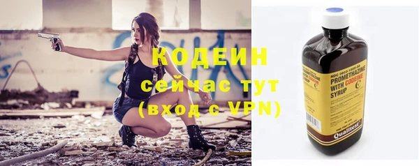 прущие грибы Куйбышев