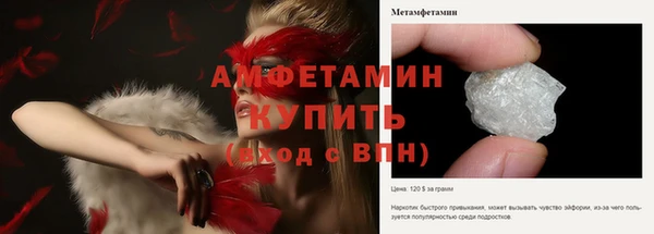 прущие грибы Куйбышев