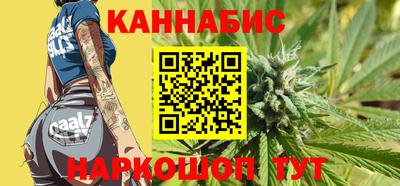 гашик Кингисепп