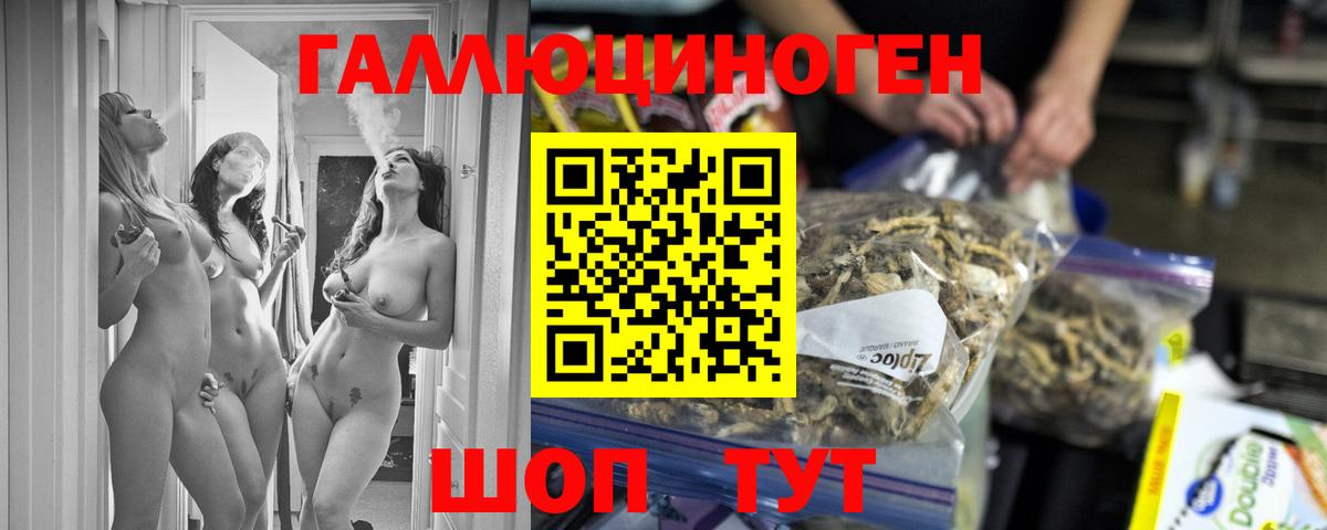 Галлюциногенные грибы GOLDEN TEACHER Сунжа