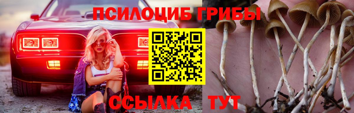 Галлюциногенные грибы GOLDEN TEACHER  Псилоцибиновые грибы прущие грибы  Вход с VPN  Сунжа 