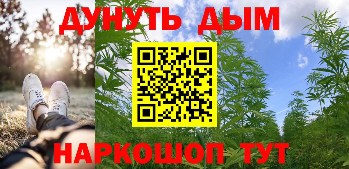 Шишки марихуана Amnesia Сунжа